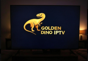 Best IPTV Providers in the USA for 2025